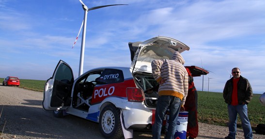 Testy Polo Proto